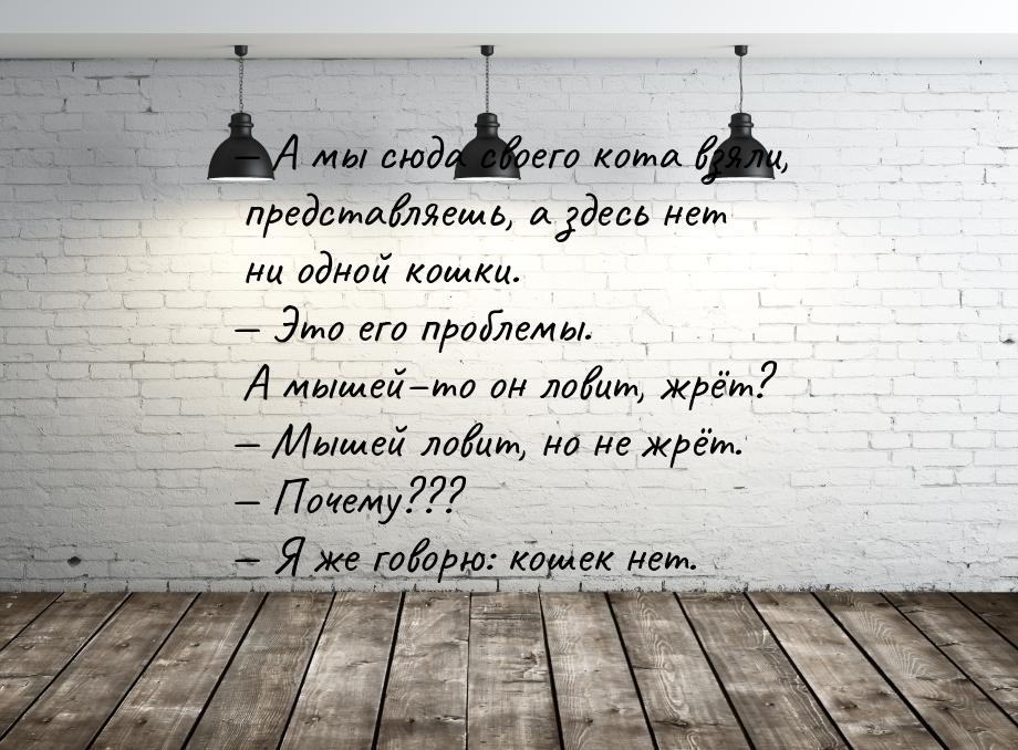 — А мы сюда своего кота взяли, представляешь, а здесь нет ни одной кошки. — Это его пробле