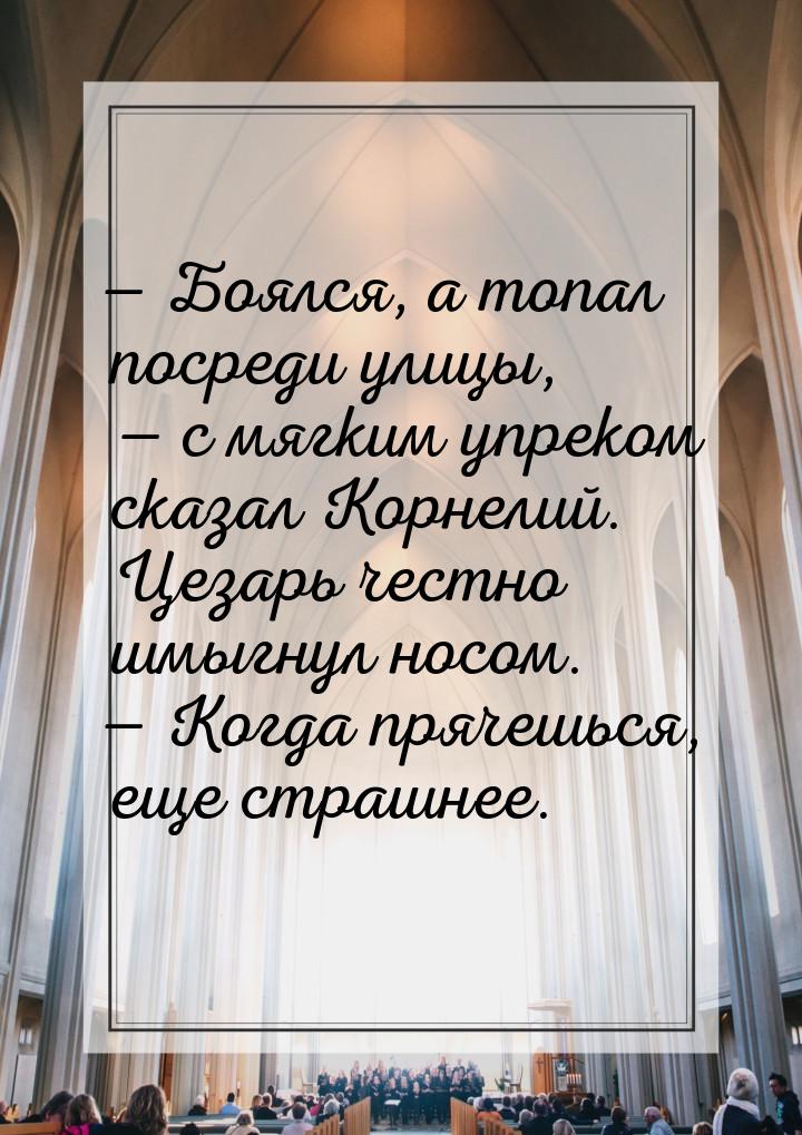 — Боялся, а топал посреди улицы, — с мягким упреком сказал Корнелий. Цезарь честно шмыгнул