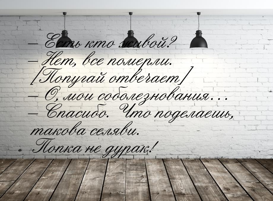 – Есть кто живой? – Нет, все померли. [Попугай отвечает] – О, мои соболезнования… – Спасиб