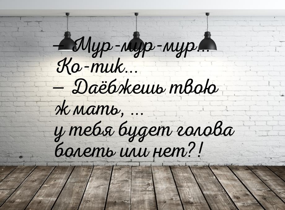 — Мур-мур-мур... Ко-тик... — Дaёбжешь твою ж мaть, ... у тебя будет головa болеть или нет?