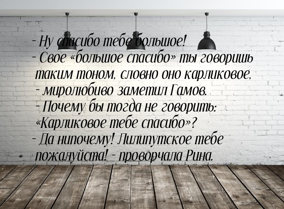 – Ну спасибо тебе большое! – Свое «большое спасибо» ты говоришь таким тоном, словно оно ка