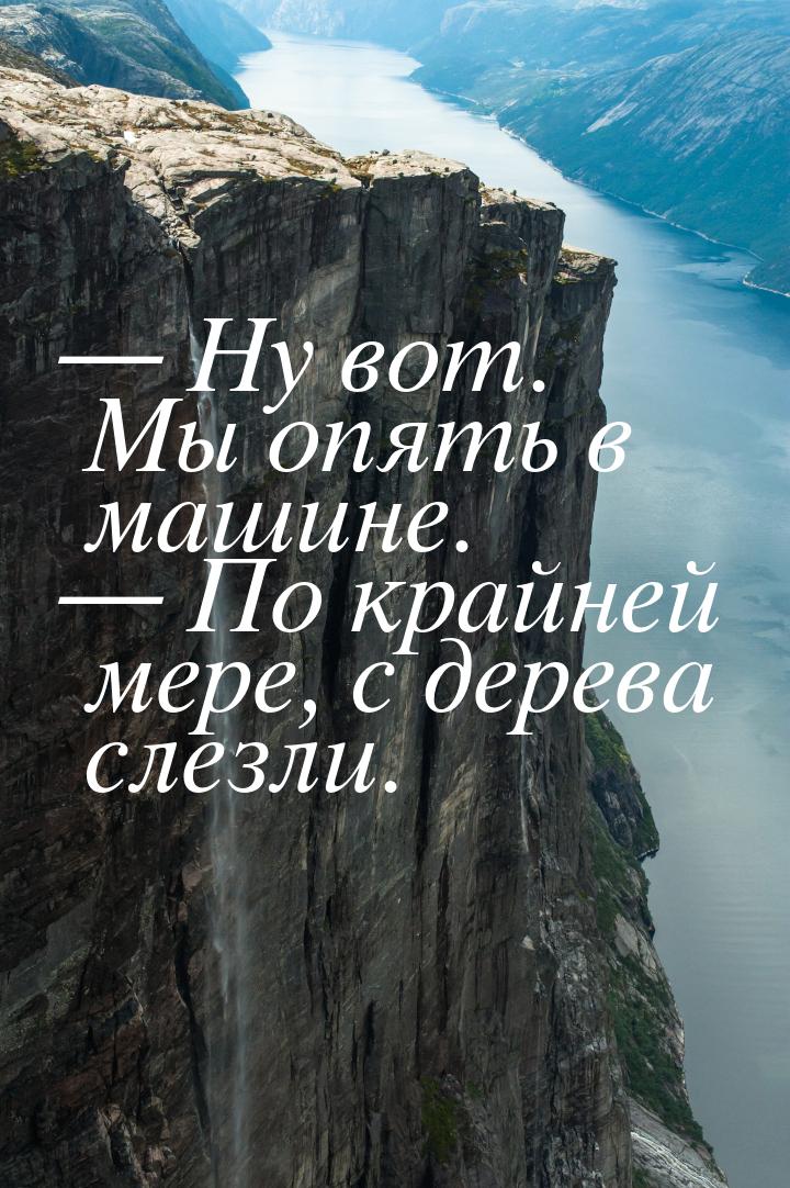 — Ну вот. Мы опять в машине. — По крайней мере, с дерева слезли.