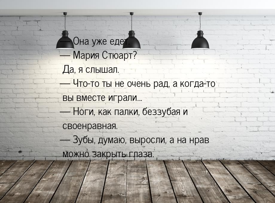 — Она уже едет. — Мария Стюарт? Да, я слышал. — Что-то ты не очень рад, а когда-то вы вмес