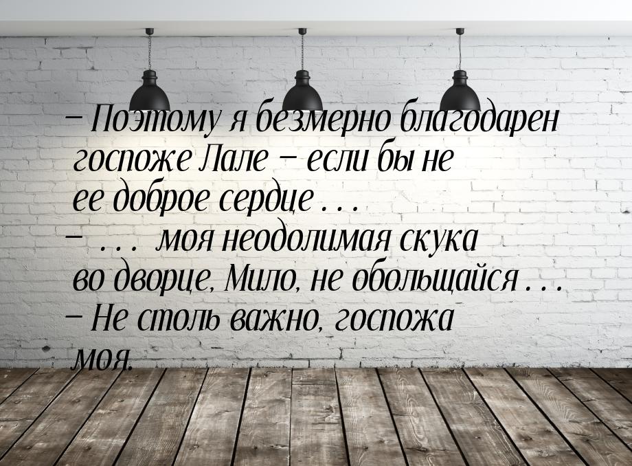 — Поэтому я безмерно благодарен госпоже Лале — если бы не ее доброе сердце… — … моя неодол