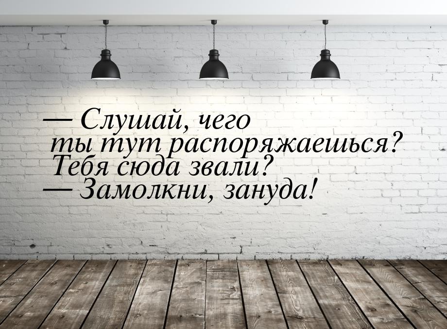 — Слушай, чего ты тут распоряжаешься? Тебя сюда звали? — Замолкни, зануда!