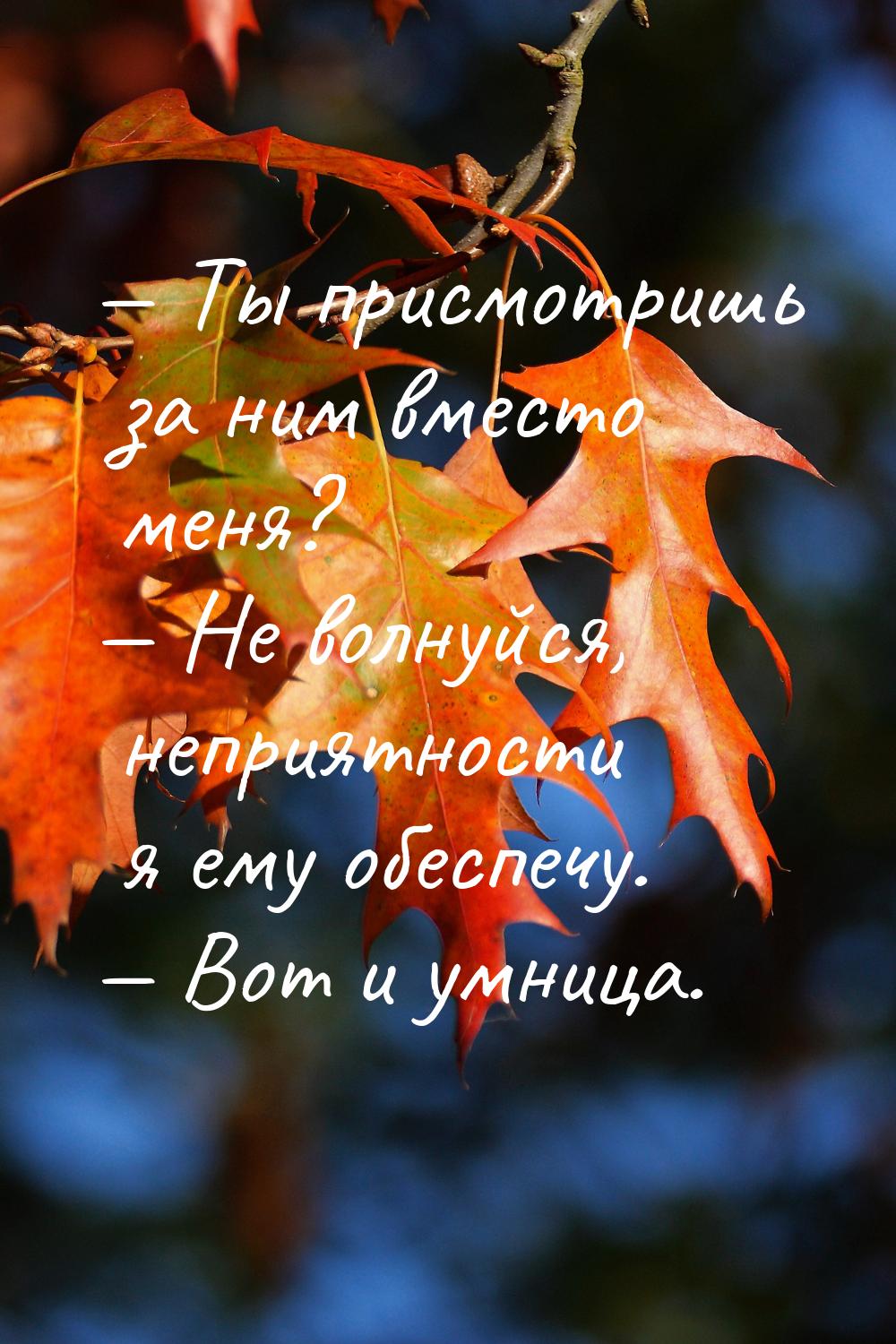 — Ты присмотришь за ним вместо меня? — Не волнуйся, неприятности я ему обеспечу. — Вот и у