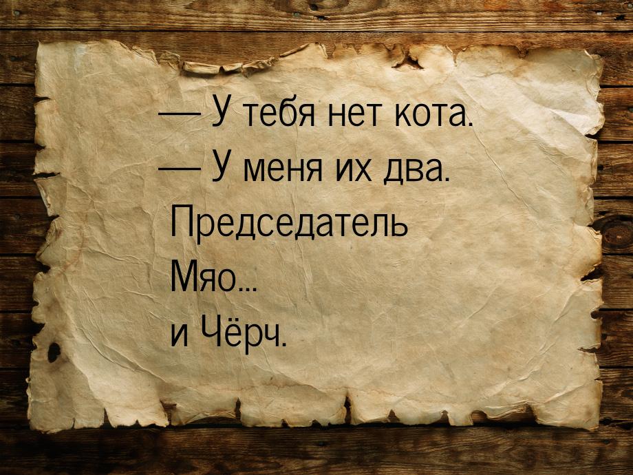 — У тебя нет кота. — У меня их два. Председатель Мяо... и Чёрч.