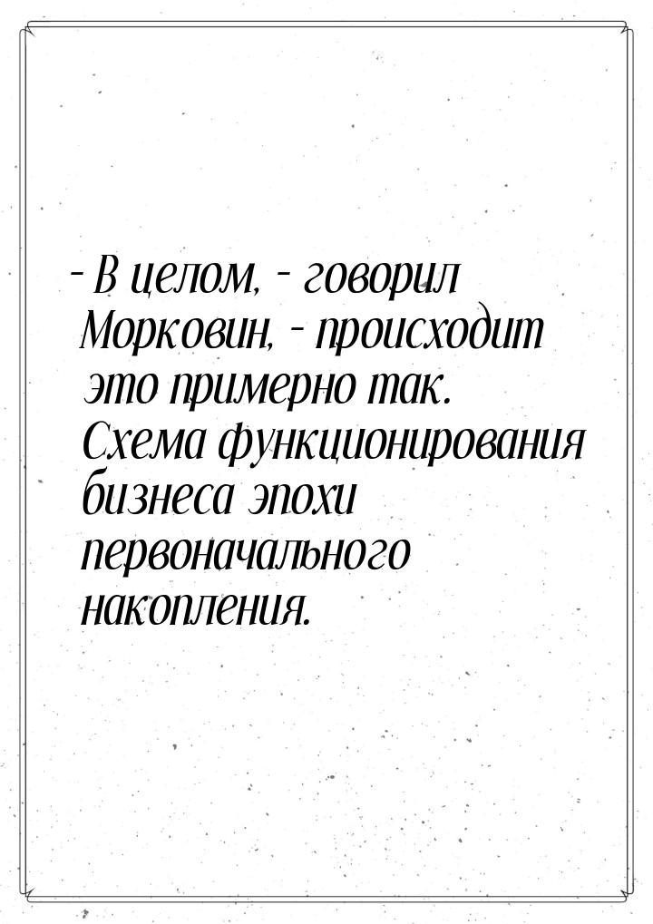 – В целом, – говорил Морковин, – происходит это примерно так. Схема функционирования бизне