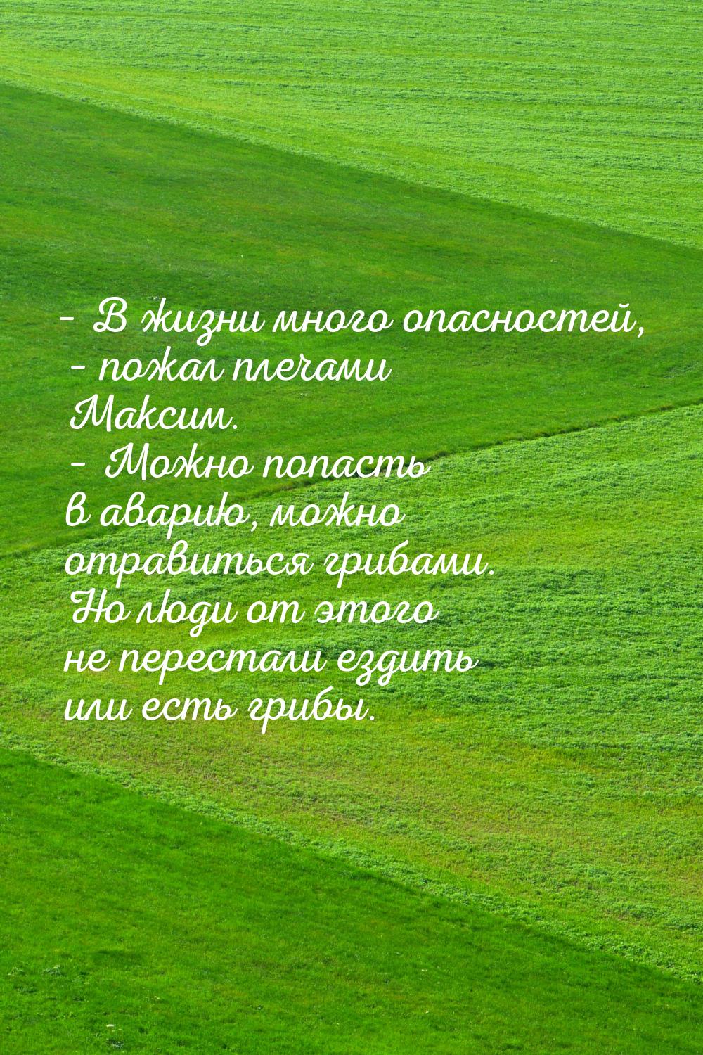 – В жизни много опасностей, – пожал плечами Максим. – Можно попасть в аварию, можно отрави