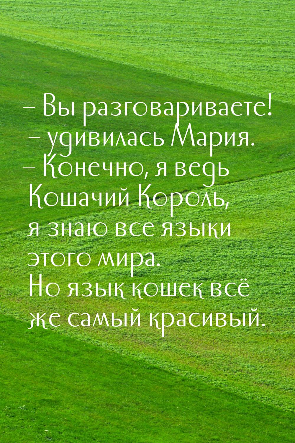 – Вы разговариваете! – удивилась Мария. – Конечно, я ведь Кошачий Король, я знаю все языки