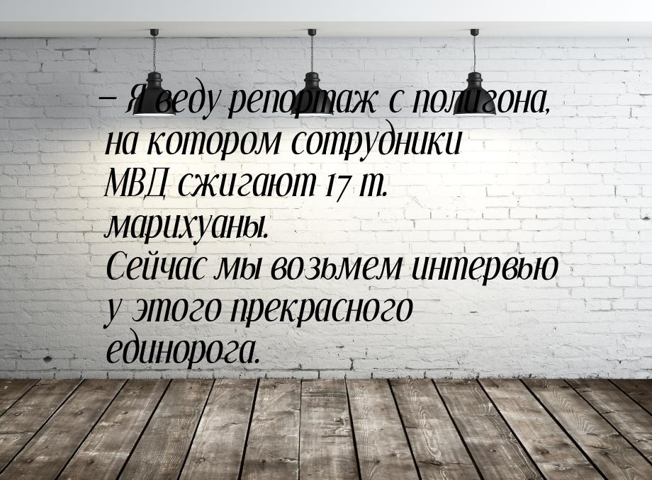 — Я веду репортаж с полигона, на котором сотрудники МВД сжигают 17 т. марихуаны. Сейчас мы