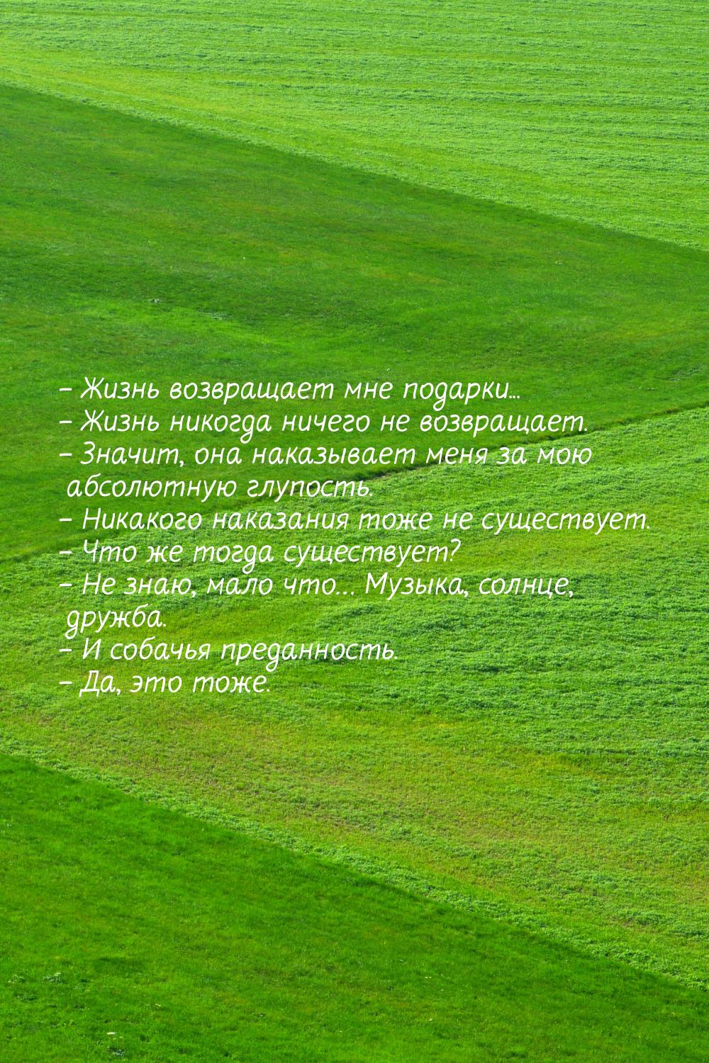 – Жизнь возвращает мне подарки... – Жизнь никогда ничего не возвращает. – Значит, она нака