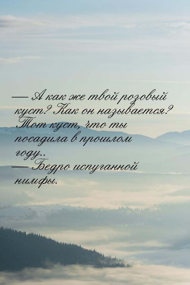  А как же твой розовый куст? Как он называется? Тот куст, что ты посадила в прошлом