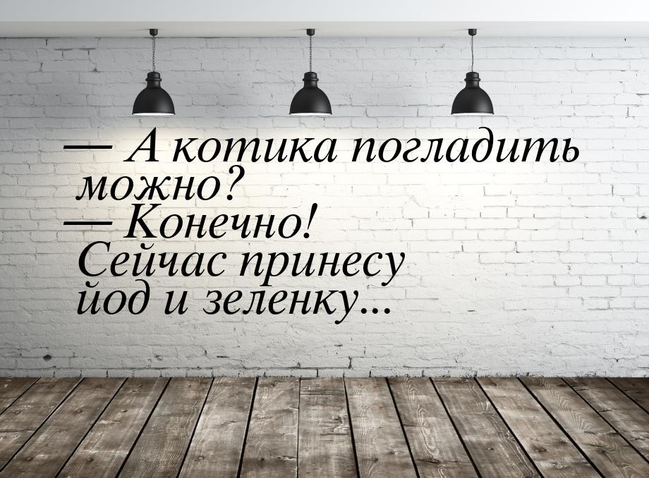  А котика погладить можно?  Конечно! Сейчас принесу йод и зеленку...