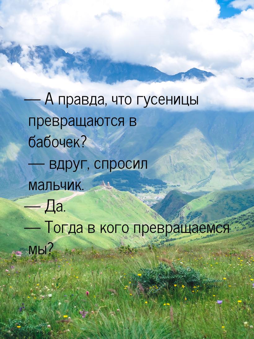  А правда, что гусеницы превращаются в бабочек?  вдруг, спросил мальчик. &md