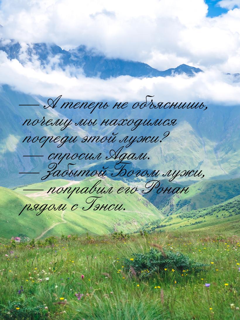  А теперь не объяснишь, почему мы находимся посреди этой лужи?  спросил Адам