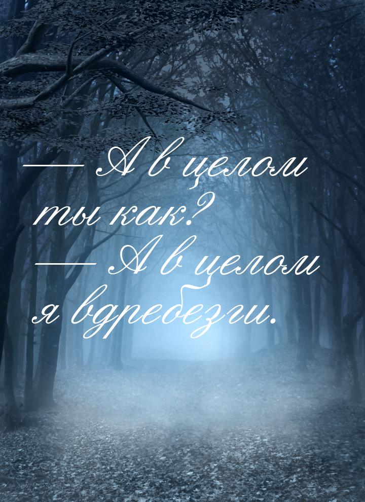  А в целом ты как?   А в целом я вдребезги.