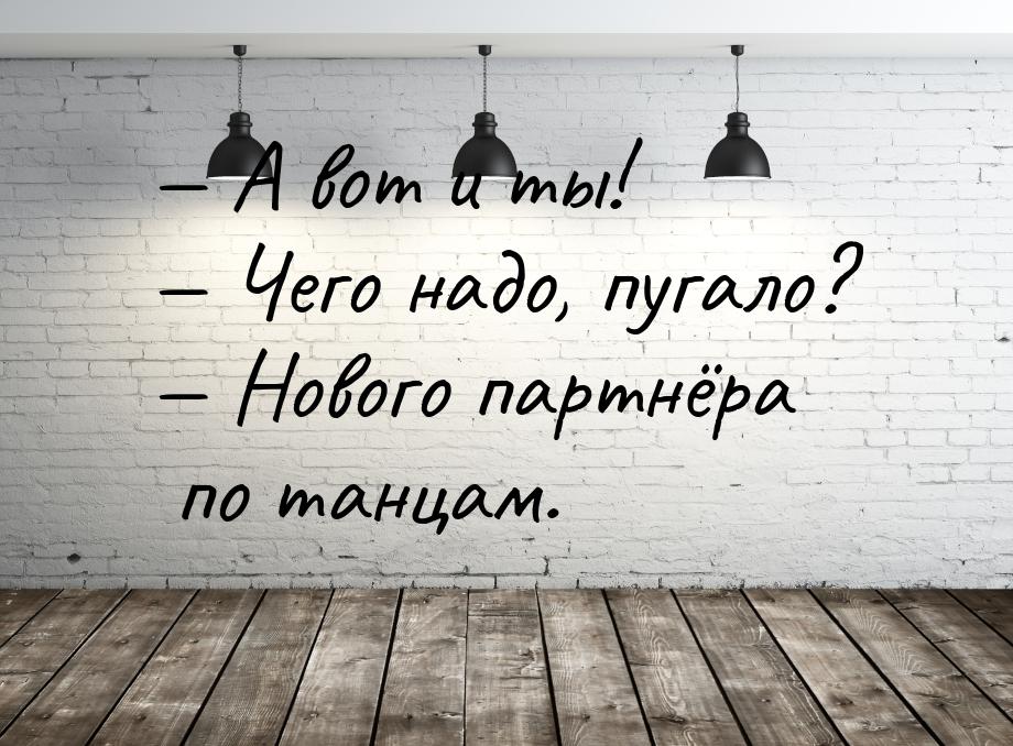  А вот и ты!  Чего надо, пугало?  Нового партнёра по танцам.