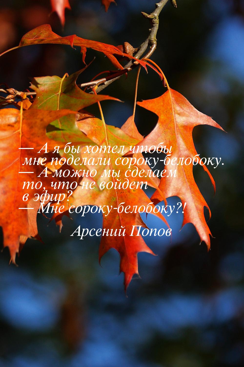  А я бы хотел чтобы мне поделали сороку-белобоку.  А можно мы сделаем то, чт