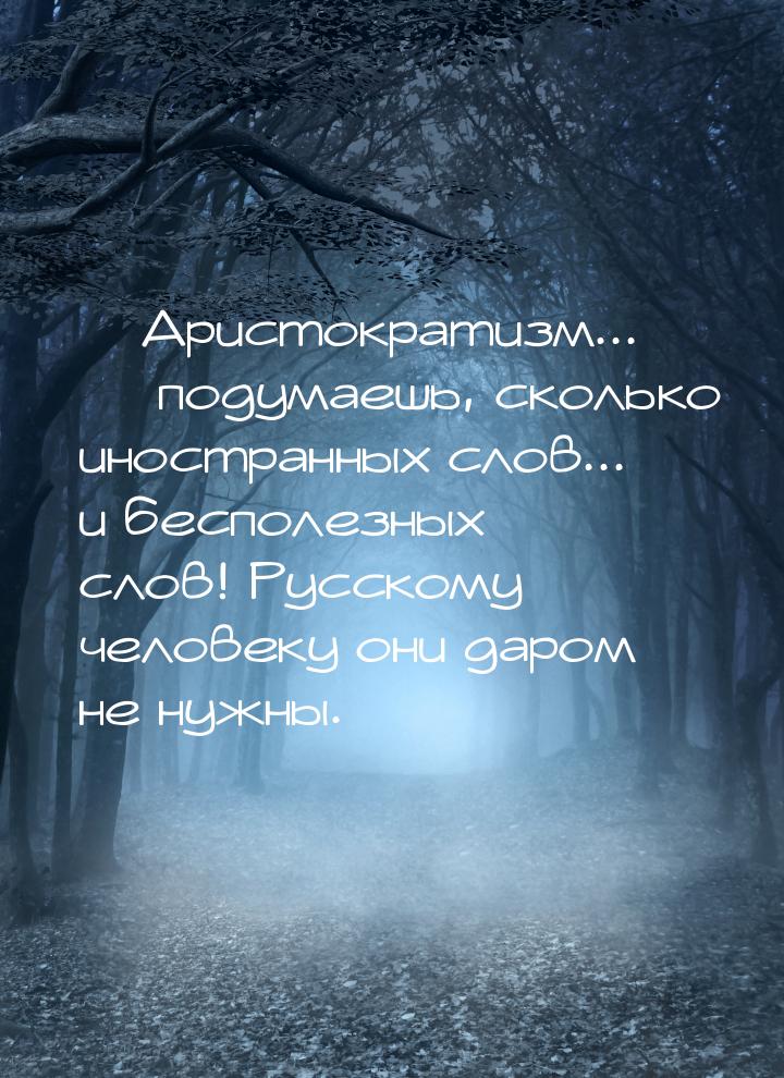  Аристократизм...  подумаешь, сколько иностранных слов... и бесполезных слов