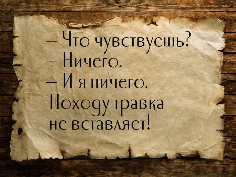  Что чувствуешь?  Ничего.  И я ничего. Походу травка не вставляет!