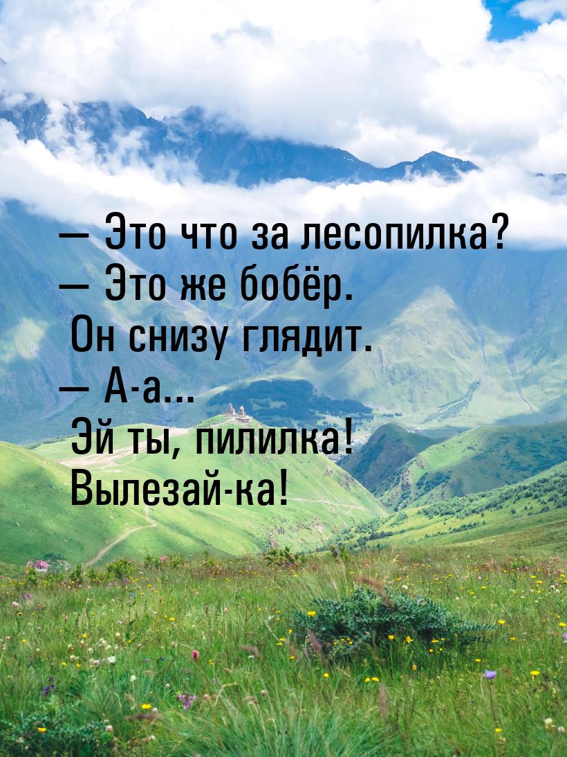  Это что за лесопилка?  Это же бобёр. Он снизу глядит.  А-а... Эй ты,