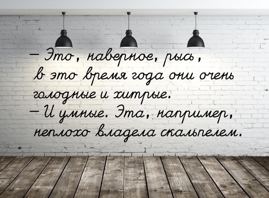  Это, наверное, рысь, в это время года они очень голодные и хитрые.  И умные