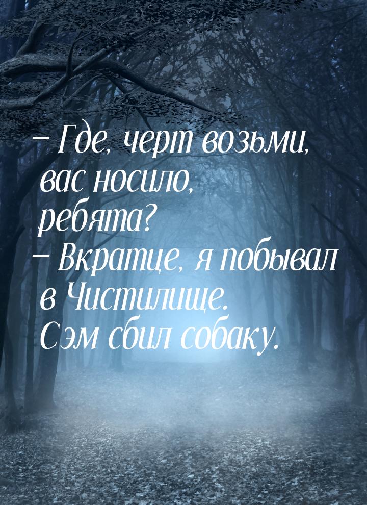  Где, черт возьми, вас носило, ребята?  Вкратце, я побывал в Чистилище. Сэм 