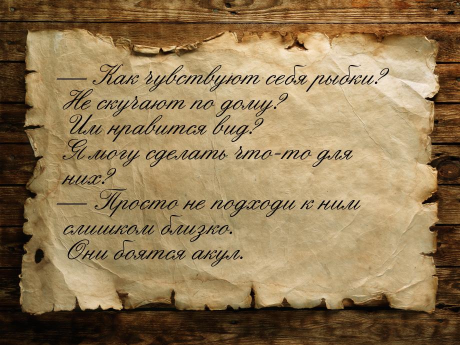  Как чувствуют себя рыбки? Не скучают по дому? Им нравится вид? Я могу сделать что-