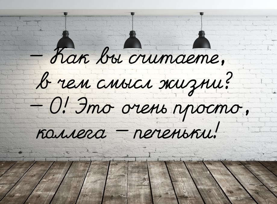  Как вы считаете, в чем смысл жизни?  О! Это очень просто, коллега  п