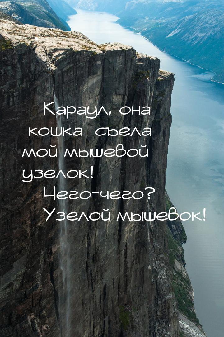  Караул, она [кошка] съела мой мышевой узелок!  Чего-чего?  Узелой мы