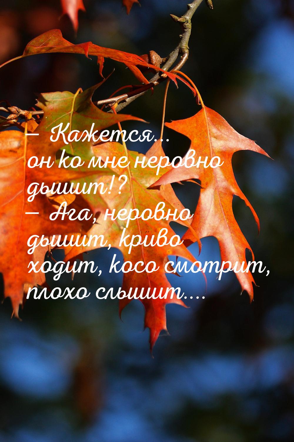  Кажется... он ко мне неровно дышит!?  Ага, неровно дышит, криво ходит, косо