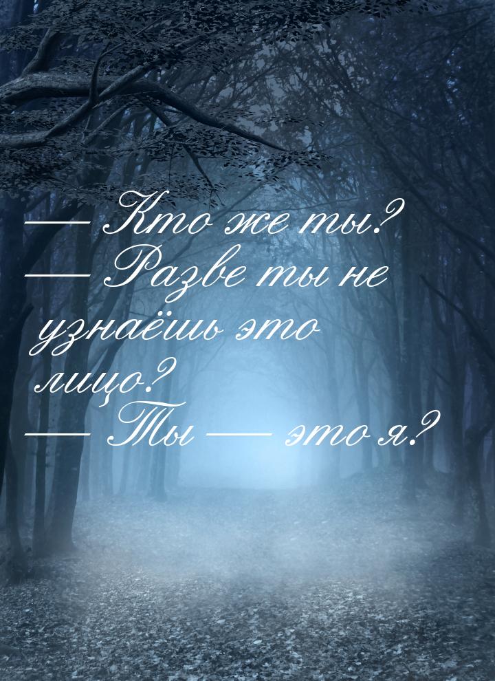  Кто же ты?  Разве ты не узнаёшь это лицо?  Ты  это я?