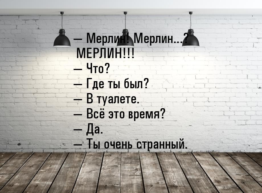  Мерлин! Мерлин...? МЕРЛИН!!!  Что?  Где ты был?  В туалете. &