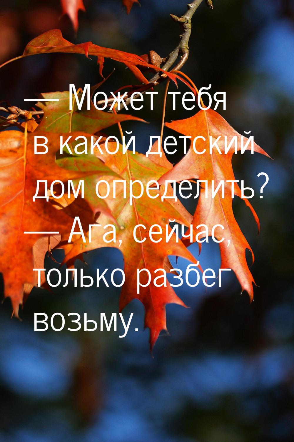  Может тебя в какой детский дом определить?  Ага, сейчас, только разбег возь