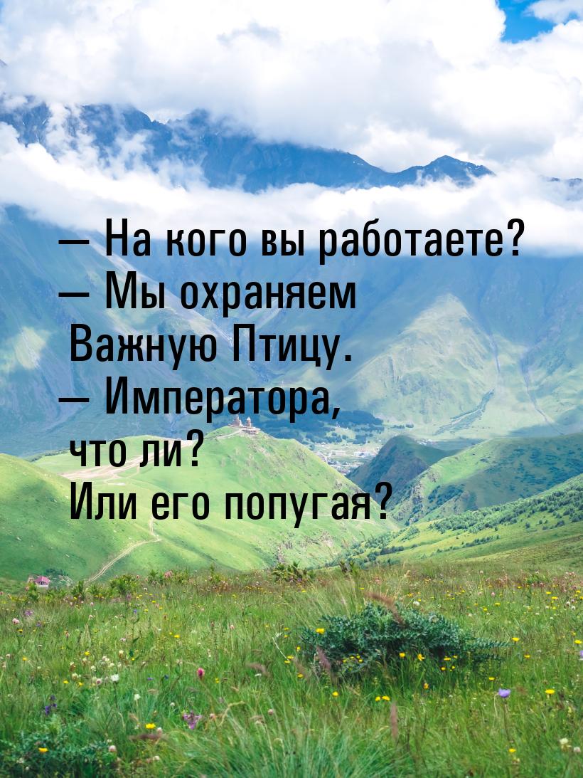  На кого вы работаете?  Мы охраняем Важную Птицу.  Императора, что ли