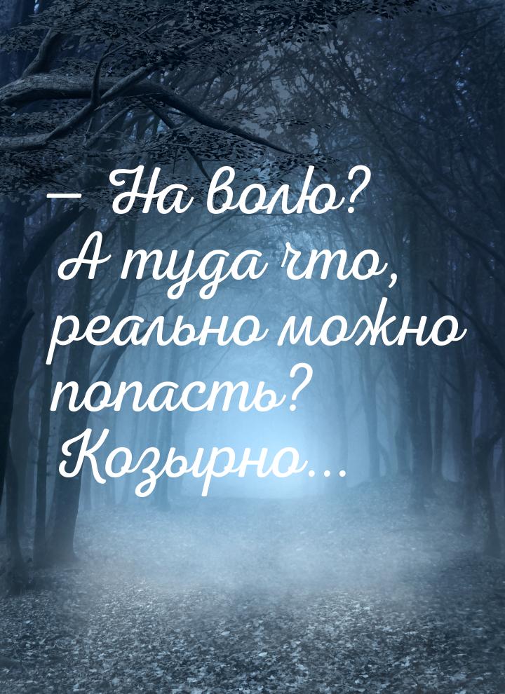  На волю? А туда что, реально можно попасть? Козырно...