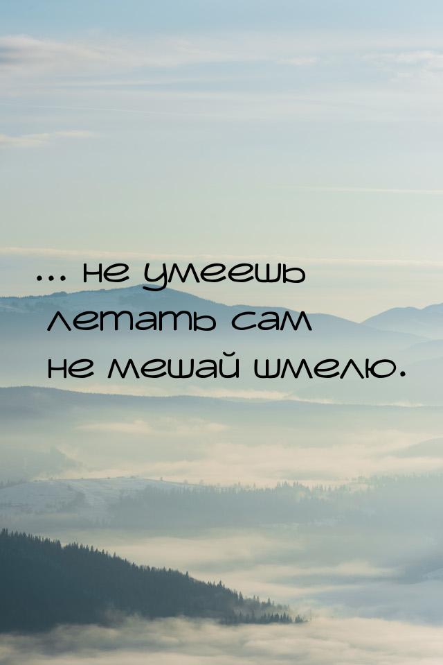 ... не умеешь летать сам  не мешай шмелю.