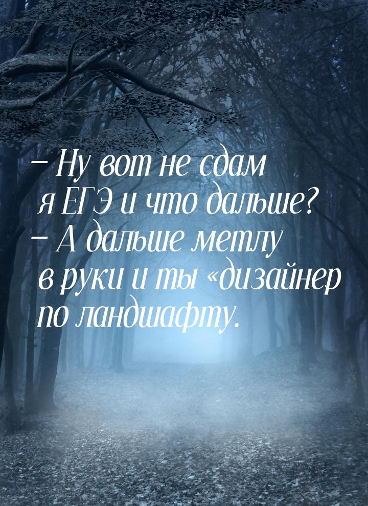  Ну вот не сдам я ЕГЭ и что дальше?  А дальше метлу в руки и ты дизай