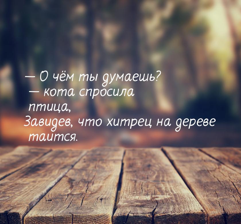  О чём ты думаешь?  кота спросила птица, Завидев, что хитрец на дереве таитс