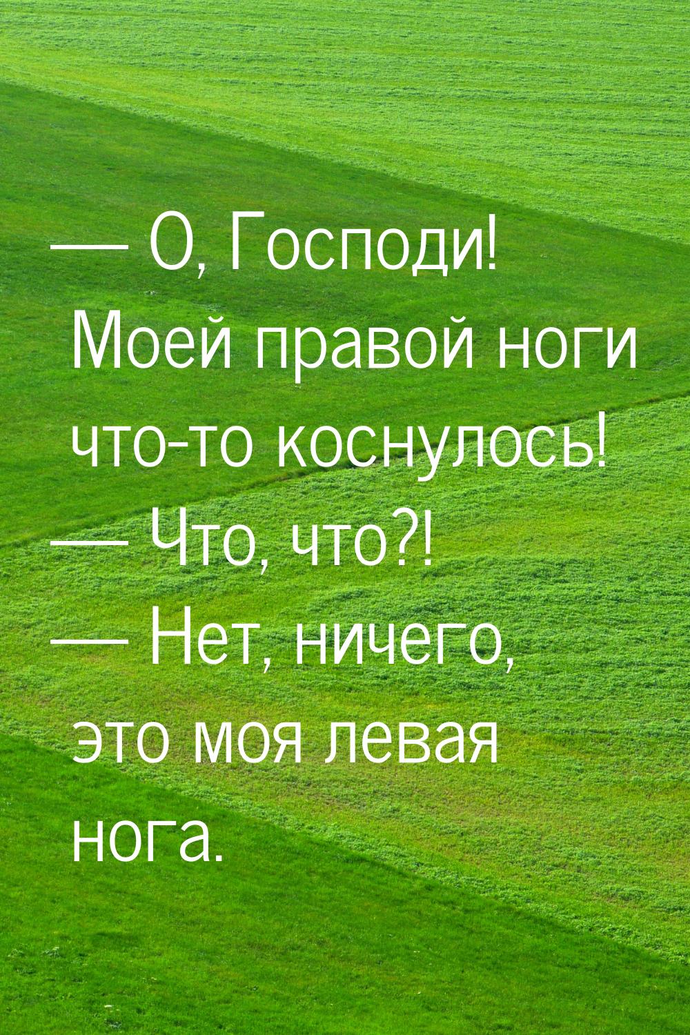  О, Господи! Моей правой ноги что-то коснулось!  Что, что?!  Нет, нич