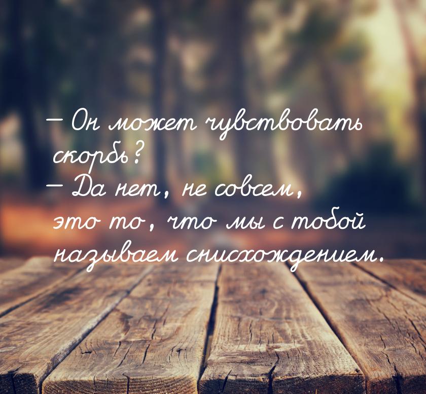  Он может чувствовать скорбь?  Да нет, не совсем, это то, что мы с тобой наз