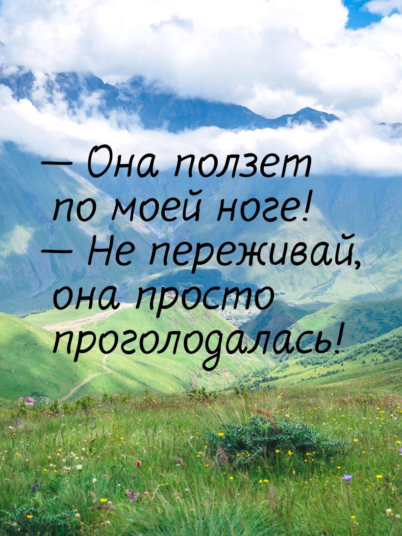  Она ползет по моей ноге!  Не переживай, она просто проголодалась!