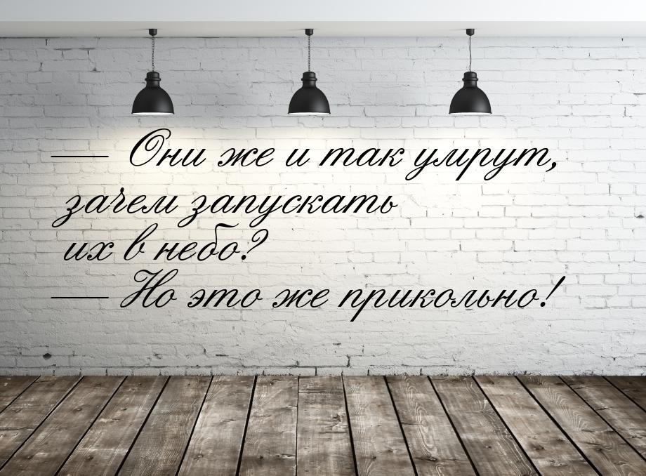  Они же и так умрут, зачем запускать их в небо?  Но это же прикольно!