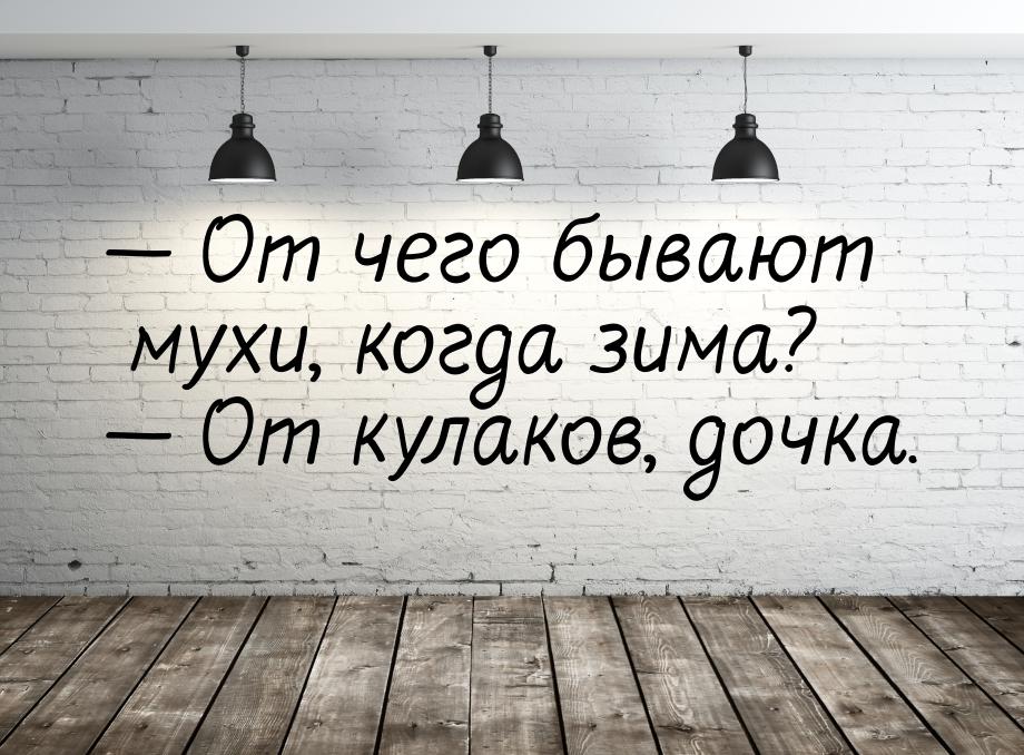  От чего бывают мухи, когда зима?  От кулаков, дочка.