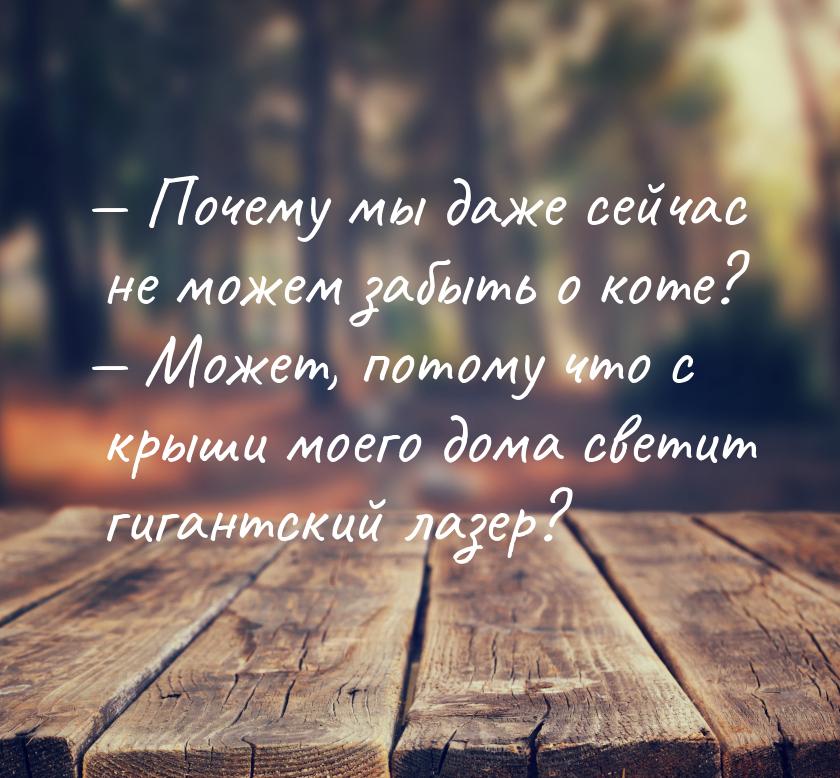  Почему мы даже сейчас не можем забыть о коте?  Может, потому что с крыши мо