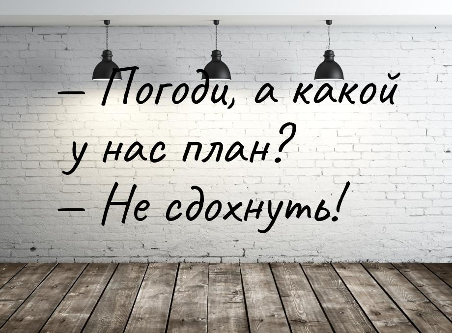  Погоди, а какой у нас план?  Не сдохнуть!