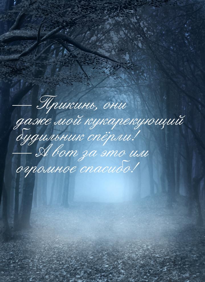  Прикинь, они даже мой кукарекующий будильник спёрли!  А вот за это им огром