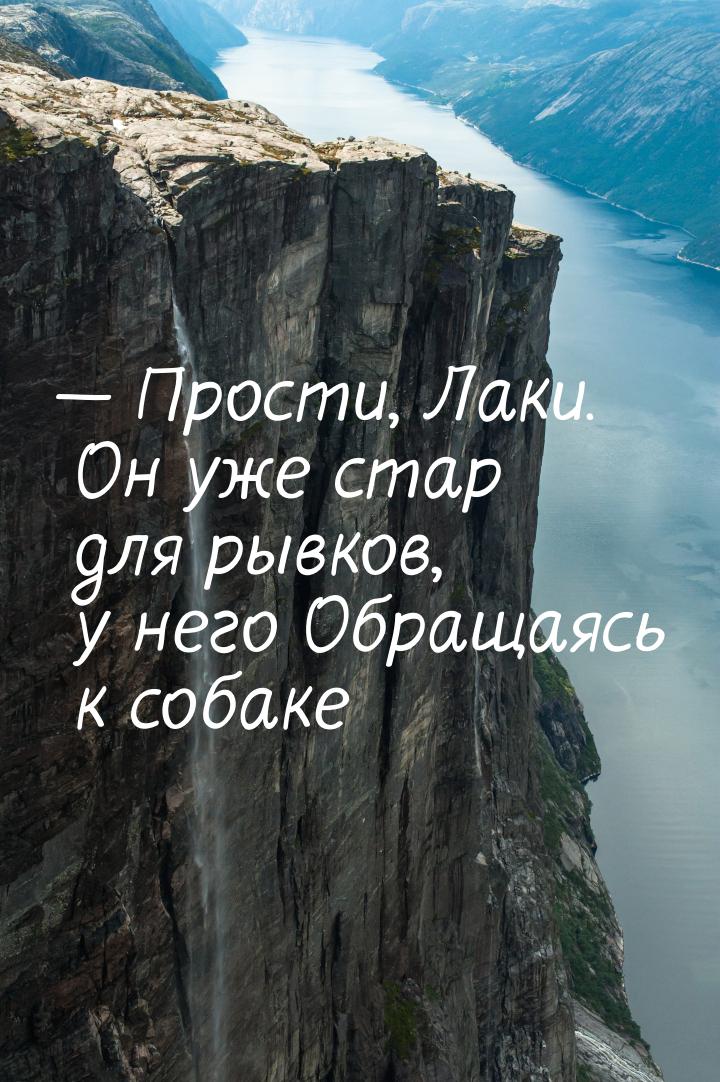  Прости, Лаки. Он уже стар для рывков, у него Обращаясь к собаке