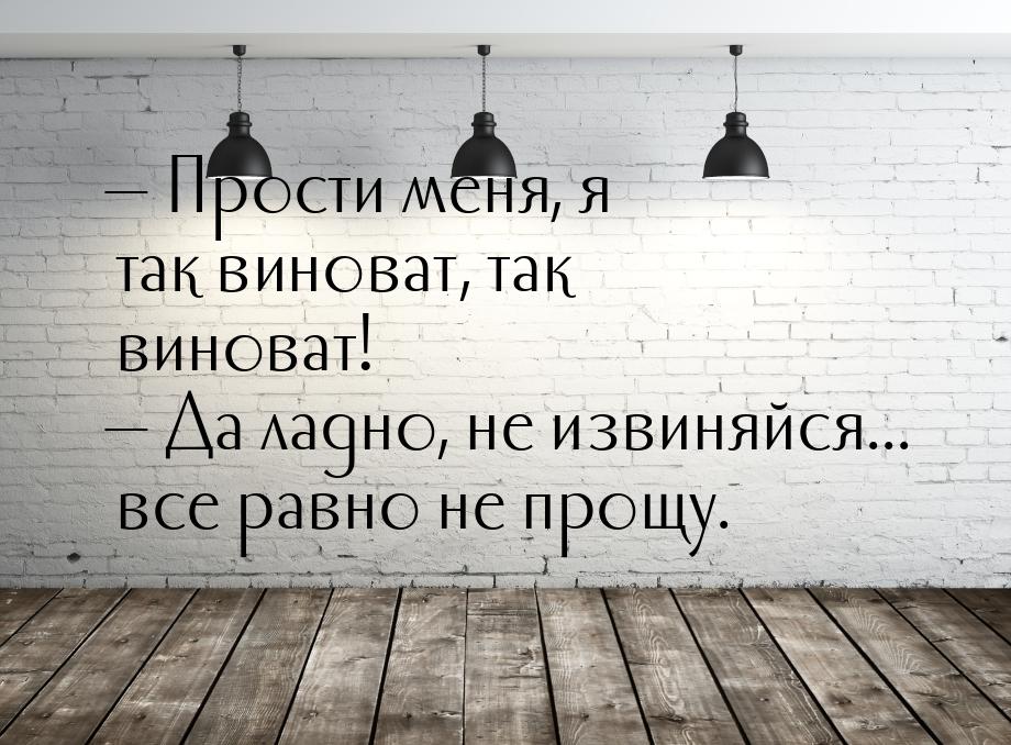  Прости меня, я так виноват, так виноват!  Да ладно, не извиняйся... все рав